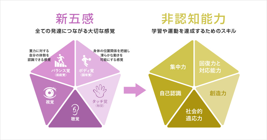 新五感と非認知能力